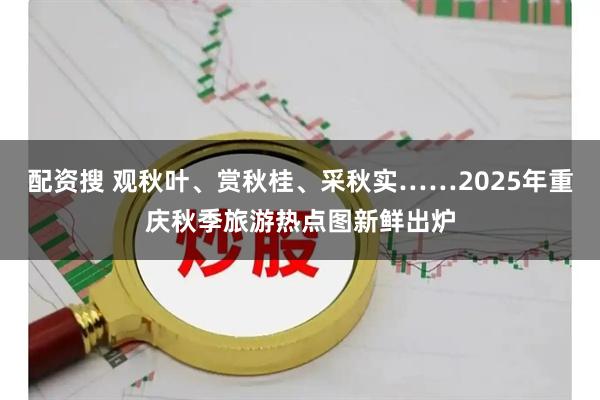 配资搜 观秋叶、赏秋桂、采秋实……2025年重庆秋季旅游热点图新鲜出炉